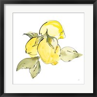 Framed 'Lemons I' border=