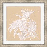 Framed Echinacea IV