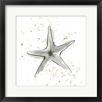 Framed Starfish II