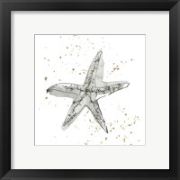 Framed 'Starfish I' border=