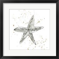 Framed Starfish I