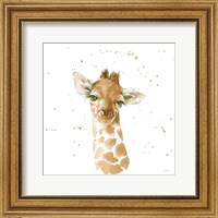 Framed 'Baby Giraffe' border=