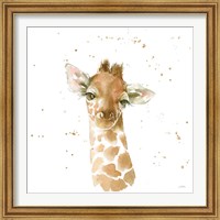 Framed 'Baby Giraffe' border=