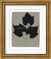 Framed 'Nature by the Lake Leaves I Gray' border=