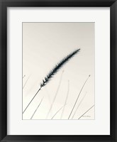 Framed Field Grasses V