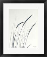 Field Grasses III Framed Print