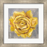 Framed 'Yellow Roses II' border=