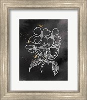 Framed 'Indigo Blooms III Black' border=