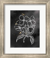 Framed 'Indigo Blooms III Black' border=