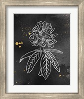 Framed 'Indigo Blooms II Black' border=