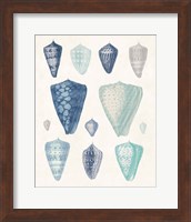 Framed 'Blue Shell Assortment II' border=