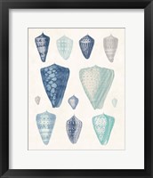 Framed 'Blue Shell Assortment II' border=