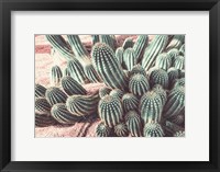 Framed Cactus Muted Burst