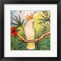 Tropical Bird I Framed Print