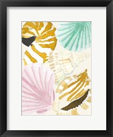 Framed Seashell Collage