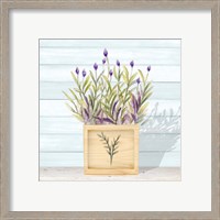 Framed 'Lavender and Wood Square II' border=