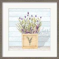 Framed Lavender and Wood Square II