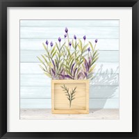 Framed 'Lavender and Wood Square II' border=