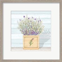 Framed 'Lavender and Wood Square III' border=