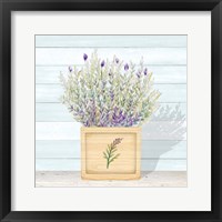 Lavender and Wood Square III Framed Print