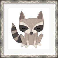 Framed 'Raccoon' border=