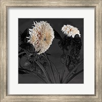 Framed 'Sunflowers I' border=