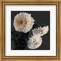 Framed 'Sunflowers II' border=