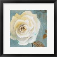 Late Summer Roses Framed Print