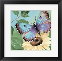 Butterfly Flowers II Framed Print