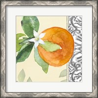 Framed 'Orange Blossoms I' border=