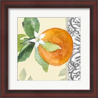 Framed 'Orange Blossoms I' border=