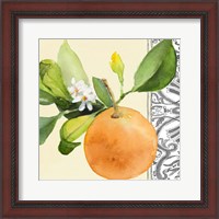 Framed 'Orange Blossoms II' border=