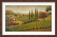 Framed Vineyard In The Sun I