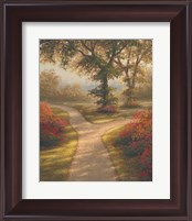 Framed 'Morning Light II' border=