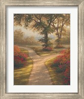 Framed 'Morning Light II' border=