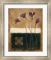 Framed 'Color Field Blossom I' border=