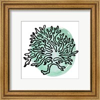 Framed 'Coastal Contours IV' border=