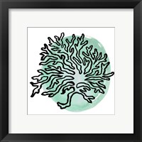 Framed 'Coastal Contours IV' border=