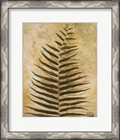 Framed 'Ferns III' border=