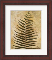 Framed 'Ferns III' border=