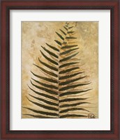 Framed 'Ferns III' border=