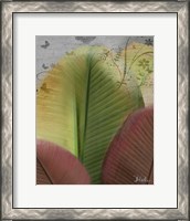 Framed 'Butterfly Palm I' border=