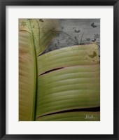 Framed 'Butterfly Palm II' border=