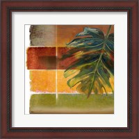 Framed 'Morning Light II' border=