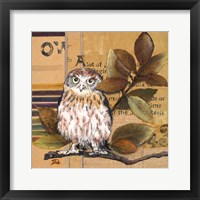 Framed 'Little Owls I' border=