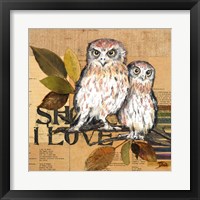 Framed 'Little Owls II' border=