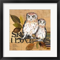 Framed 'Little Owls II' border=