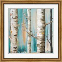 Framed 'Birch Forest I' border=