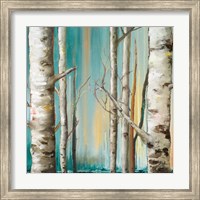 Framed 'Birch Forest II' border=