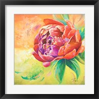 Framed 'Beautiful Bouquet of Peonies II' border=